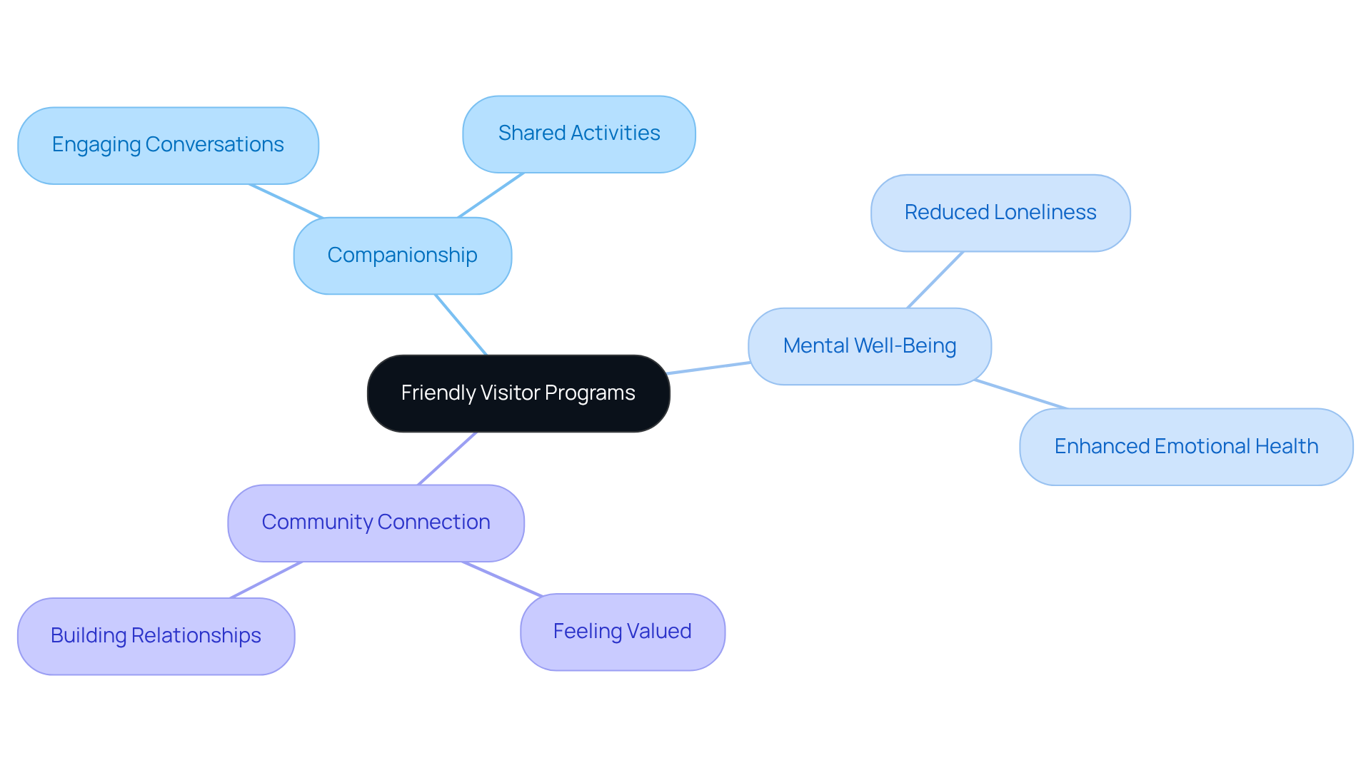 At the center, you'll find the main program, and as you follow the branches, you can see how it helps seniors in different ways — from making friends to improving their emotional health.