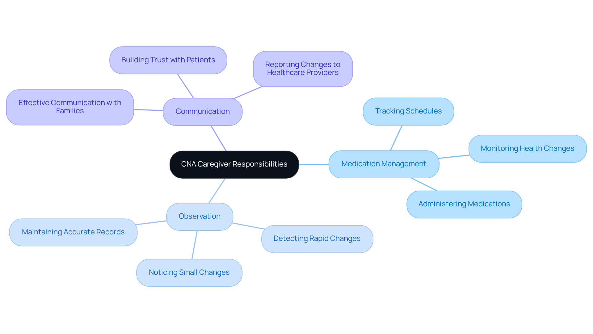 The center represents the main focus area. Each branch shows how caregivers contribute to patient care through specific actions. The more detailed the branch, the deeper we go into the caregiver’s role.