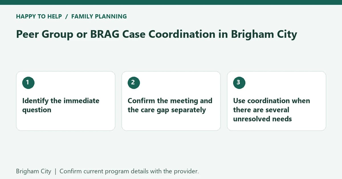 Peer Group or BRAG Case Coordination in Brigham City