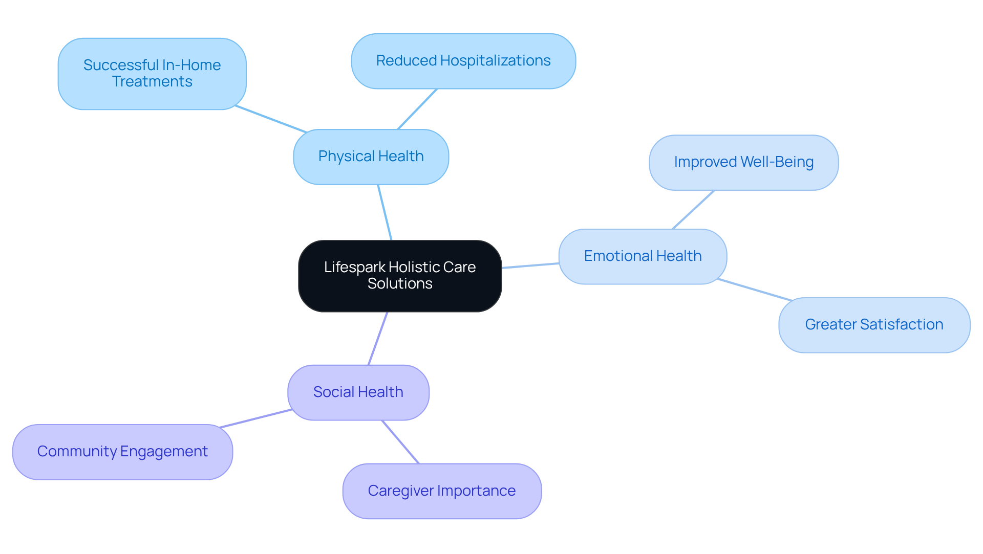 The center represents Lifespark's core care philosophy. Each branch illustrates a key component of elder care, showing how they connect to support the well-being of older adults.