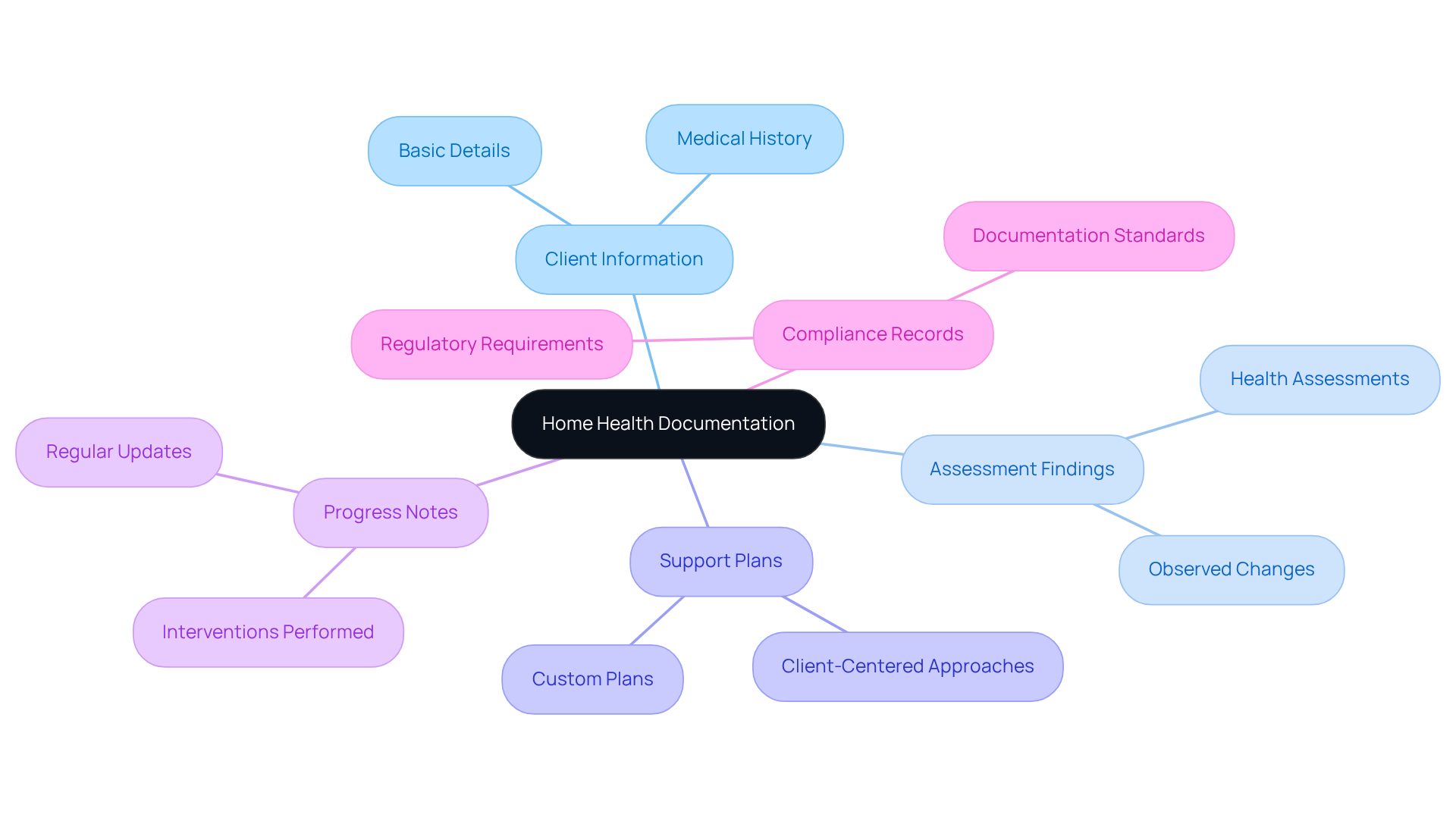 The central node represents the main topic of documentation, while the branches show the essential components that caregivers need to track for effective care.