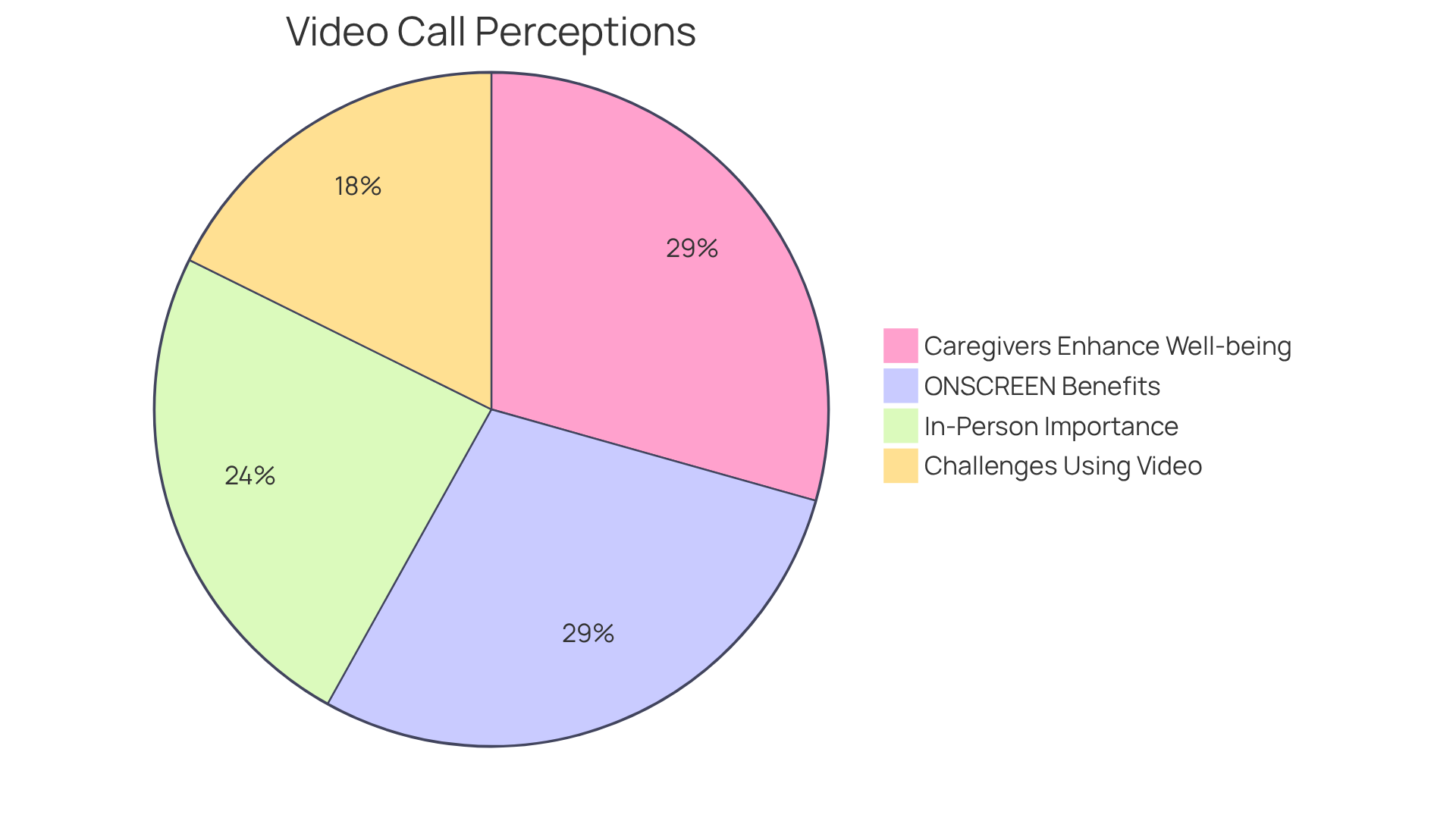 Each slice of the pie shows how many caregivers and older adults feel about video calls. The bigger the slice, the more people agree with that statement.