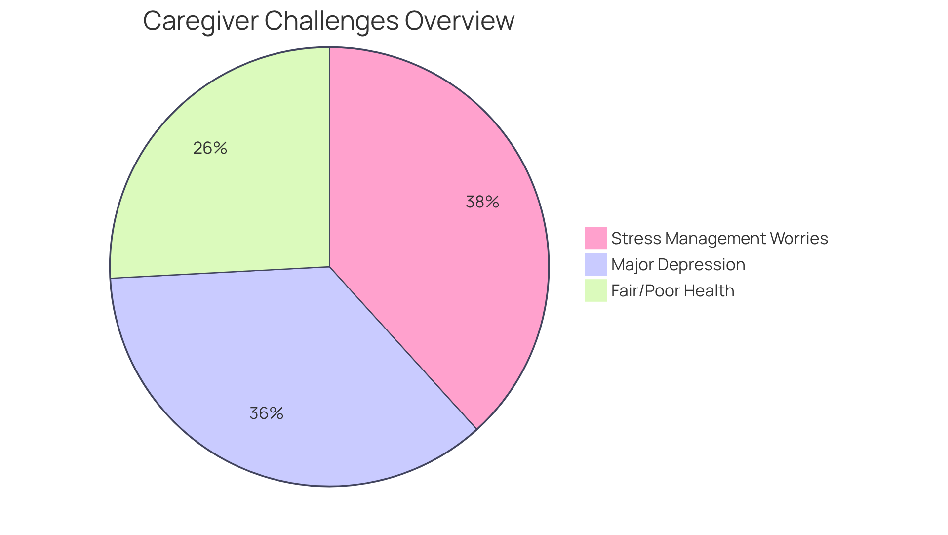 Each segment of the pie chart shows the percentage of caregivers dealing with specific challenges. A larger slice means more caregivers are affected by that issue, helping to highlight the significant emotional and physical demands of caregiving.