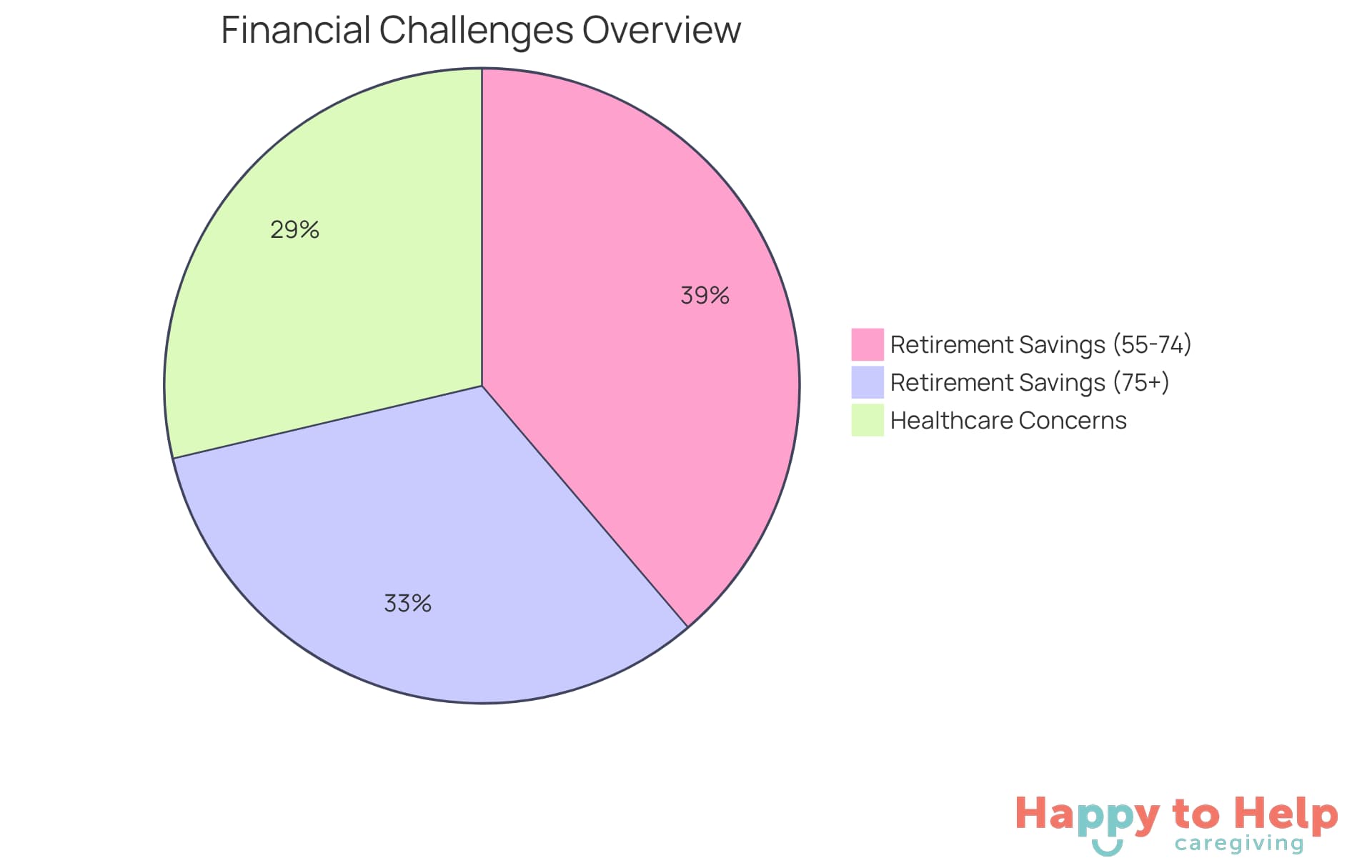 Each slice shows the percentage of older adults facing specific financial challenges - the larger the slice, the more individuals are affected by that issue.