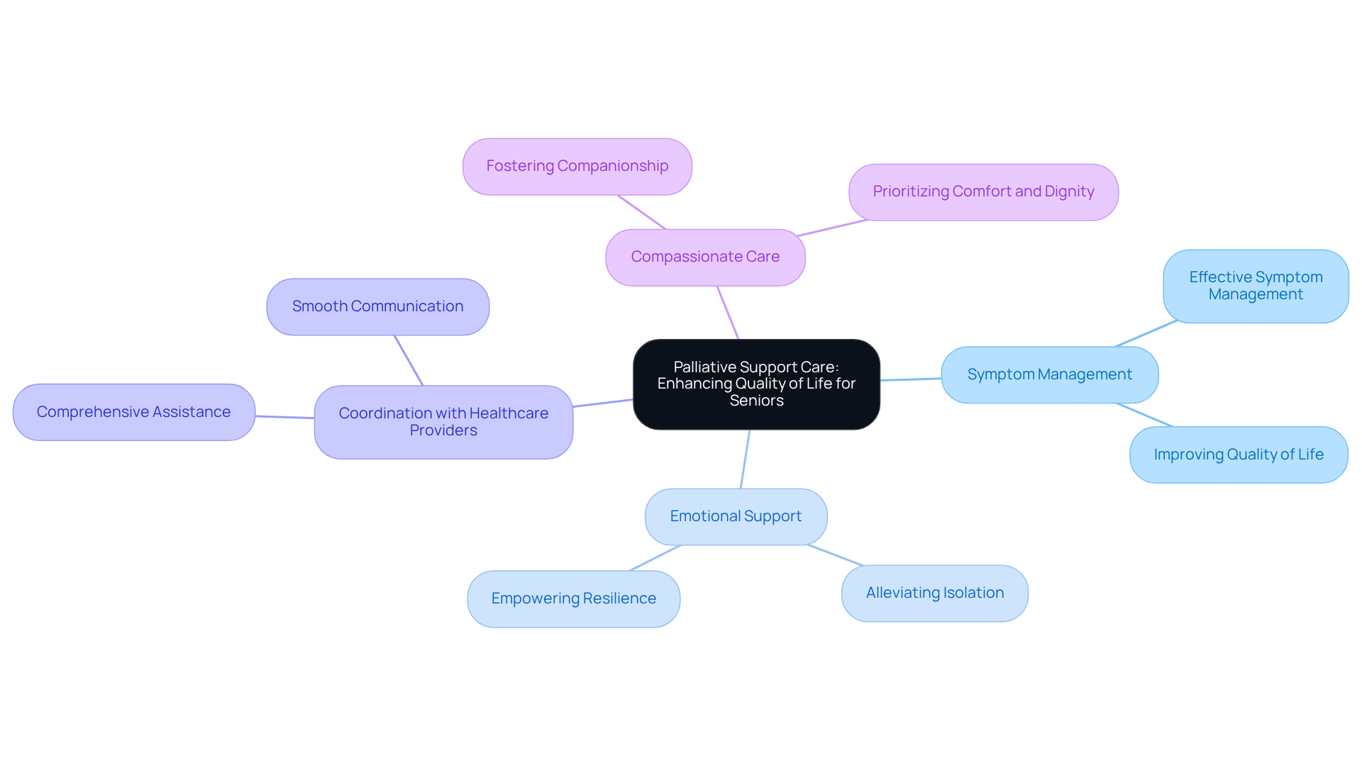 The central node represents the main theme of enhancing life quality for seniors, while each branch shows specific areas of care and their contributions to this goal. Follow the branches to see how different aspects of support interconnect.