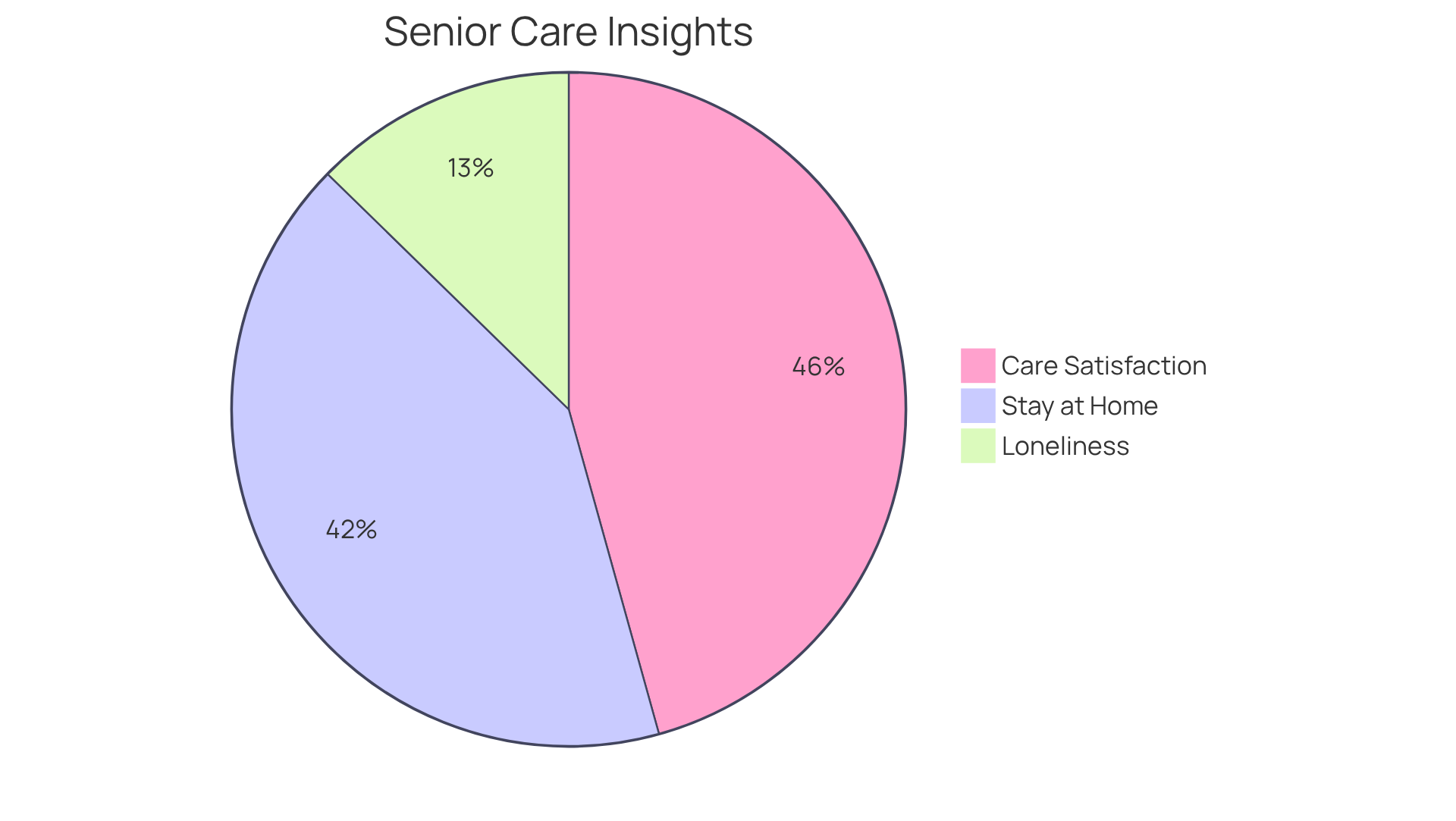 Each slice represents a different aspect of senior care: the loneliness statistic shows how many older adults feel lonely, the staying at home slice indicates how many wish to remain in their homes, and the satisfaction slice reflects how happy patients are with their care.