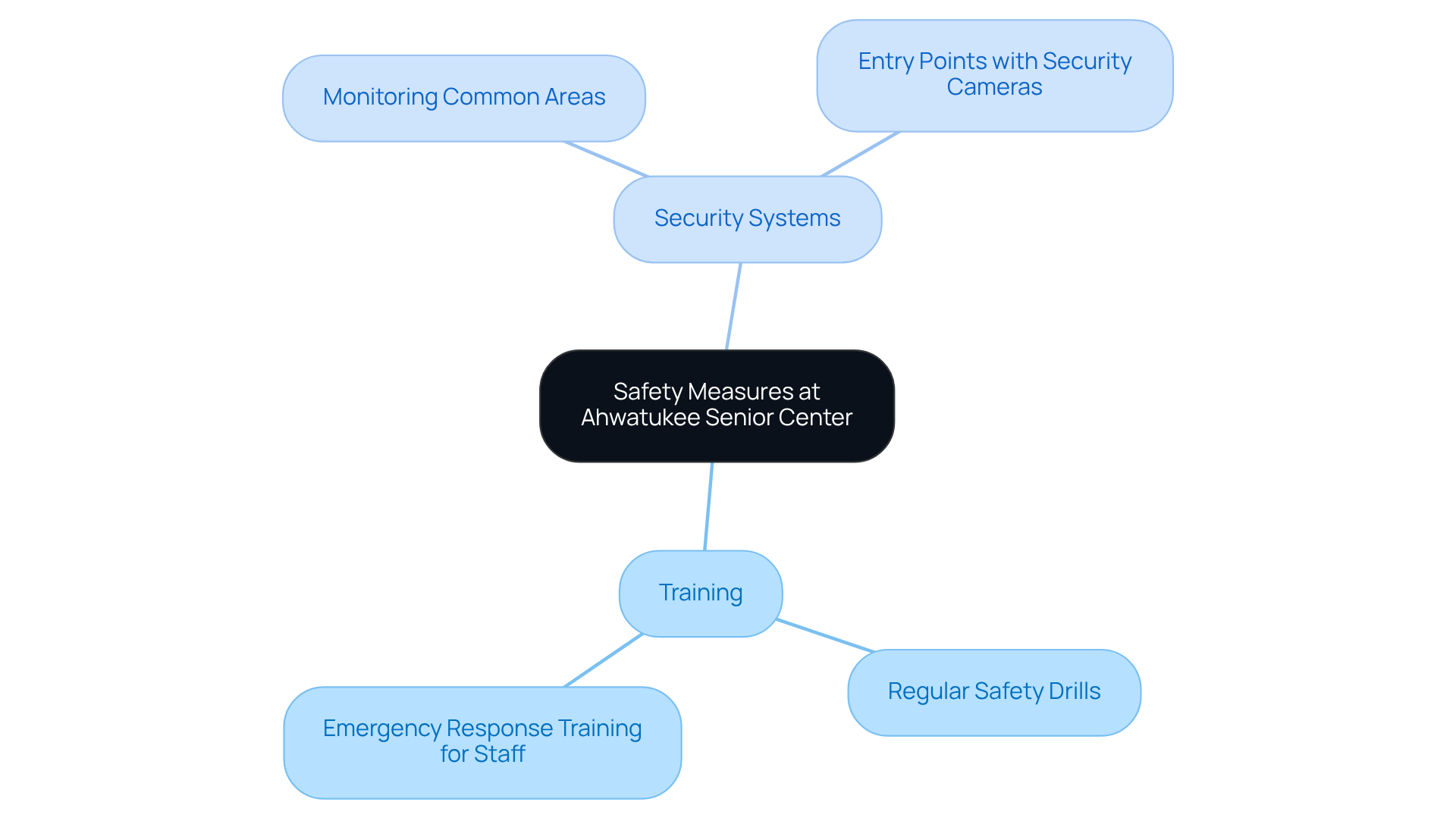 The central idea represents the overall safety measures, while branches show specific training and security actions. Each color-coded branch highlights the different areas focused on enhancing safety for seniors.