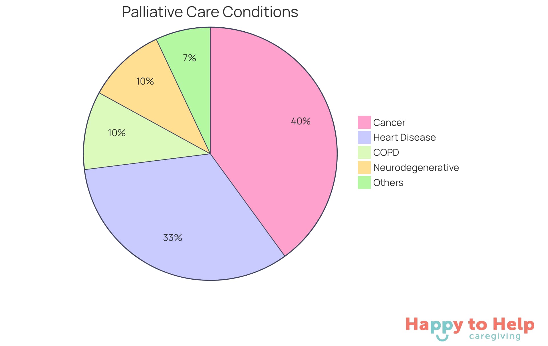 Each slice of the pie shows the percentage of adults affected by different serious illnesses that could benefit from palliative care. The larger the slice, the more individuals are impacted by that condition.