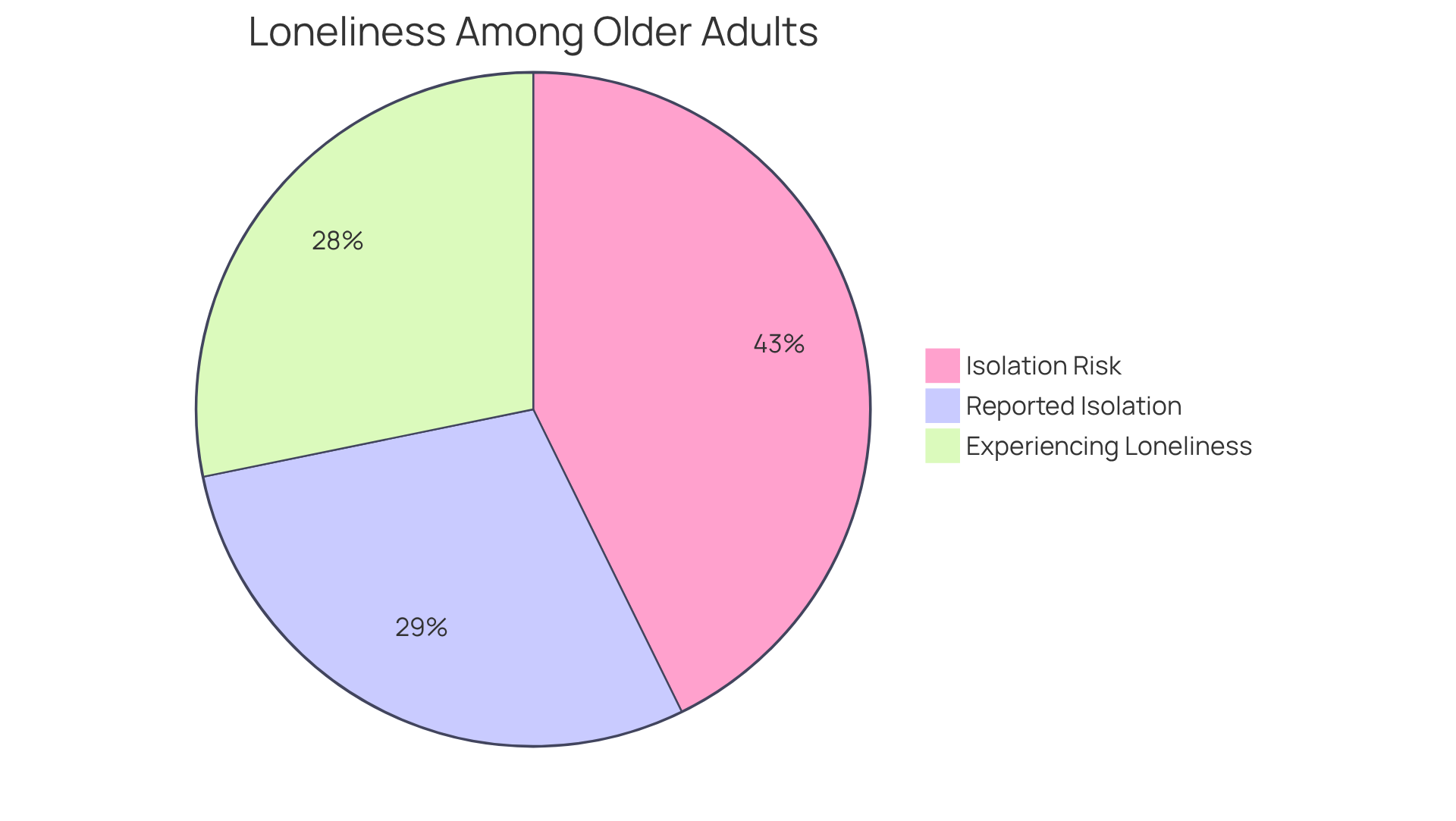 Each slice of the pie represents a different aspect of loneliness among older adults. The bigger the slice, the more people it represents. This helps visualize how widespread loneliness and isolation are in the elderly population.