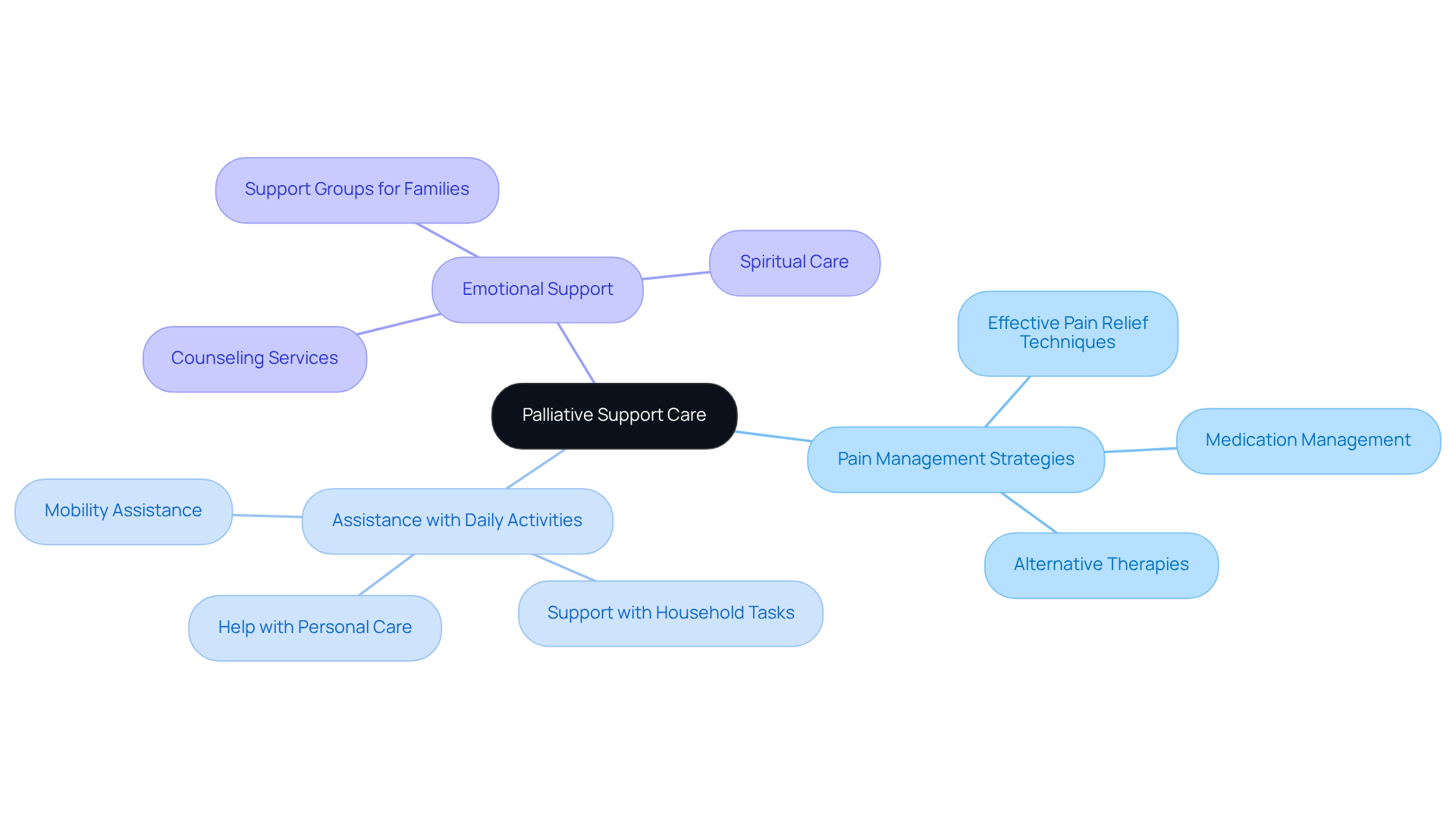 The center shows the main focus on palliative care, and the branches indicate key areas of support, illustrating how they all work together to improve comfort and well-being.