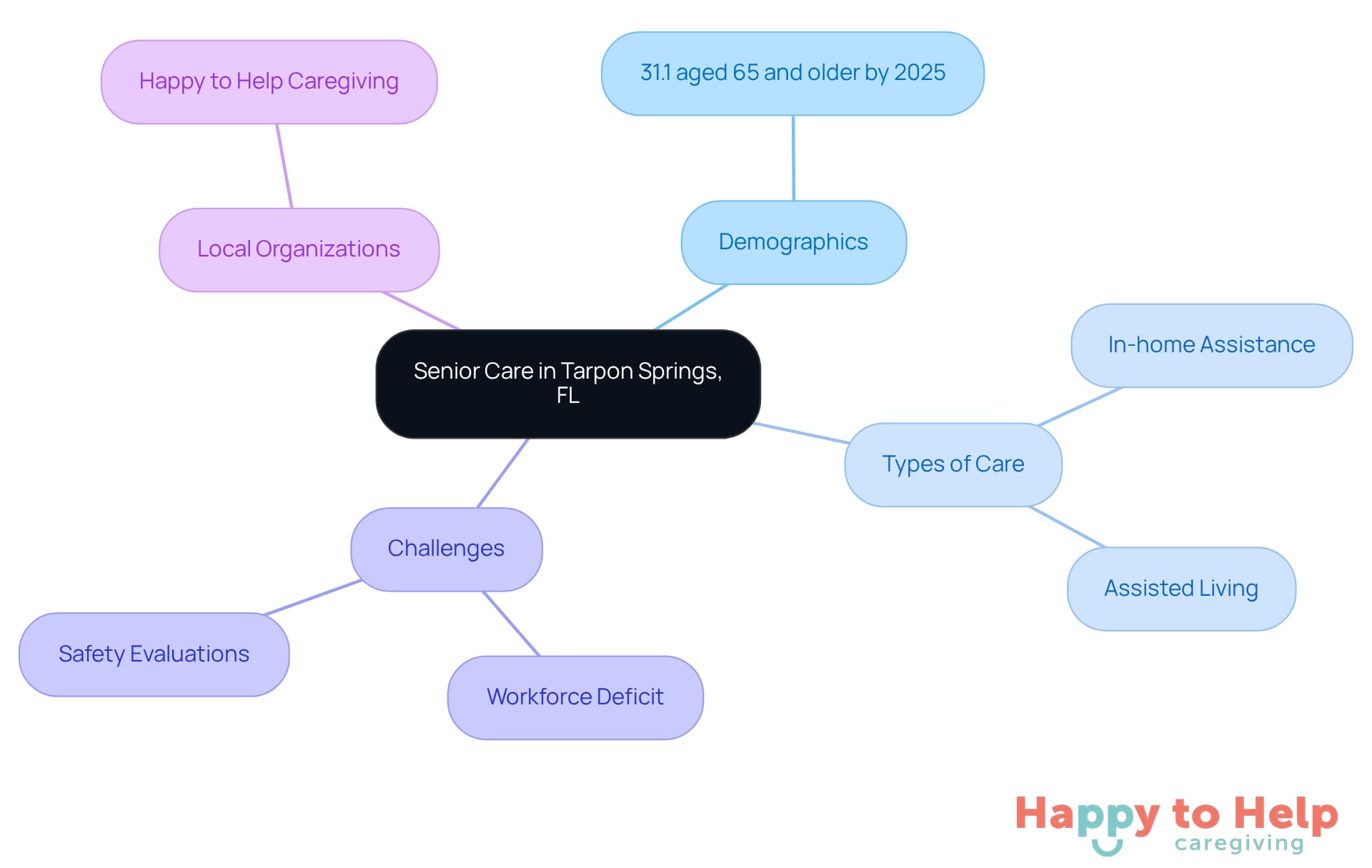 The central node represents the overall topic of senior care, while the branches show different aspects like demographics, types of care available, challenges faced, and local organizations that provide support.