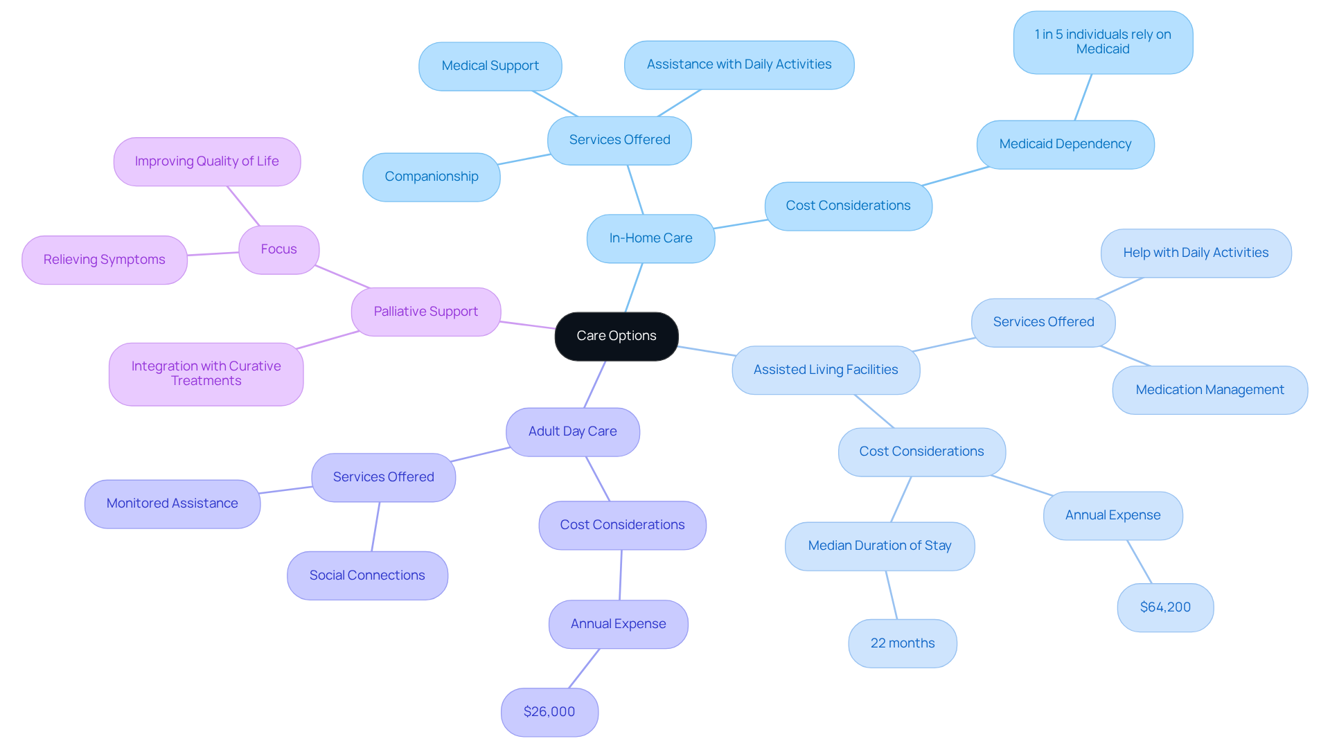 The center represents the overall topic of care options. Each branch leads to a specific type of care, with additional details about services and considerations to help you make informed decisions.