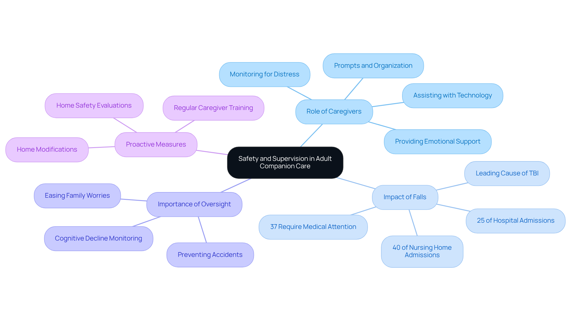 The central node represents the main theme of safety in adult companion care. Each branch shows a different aspect of care, with sub-branches providing specific details or statistics related to that aspect.