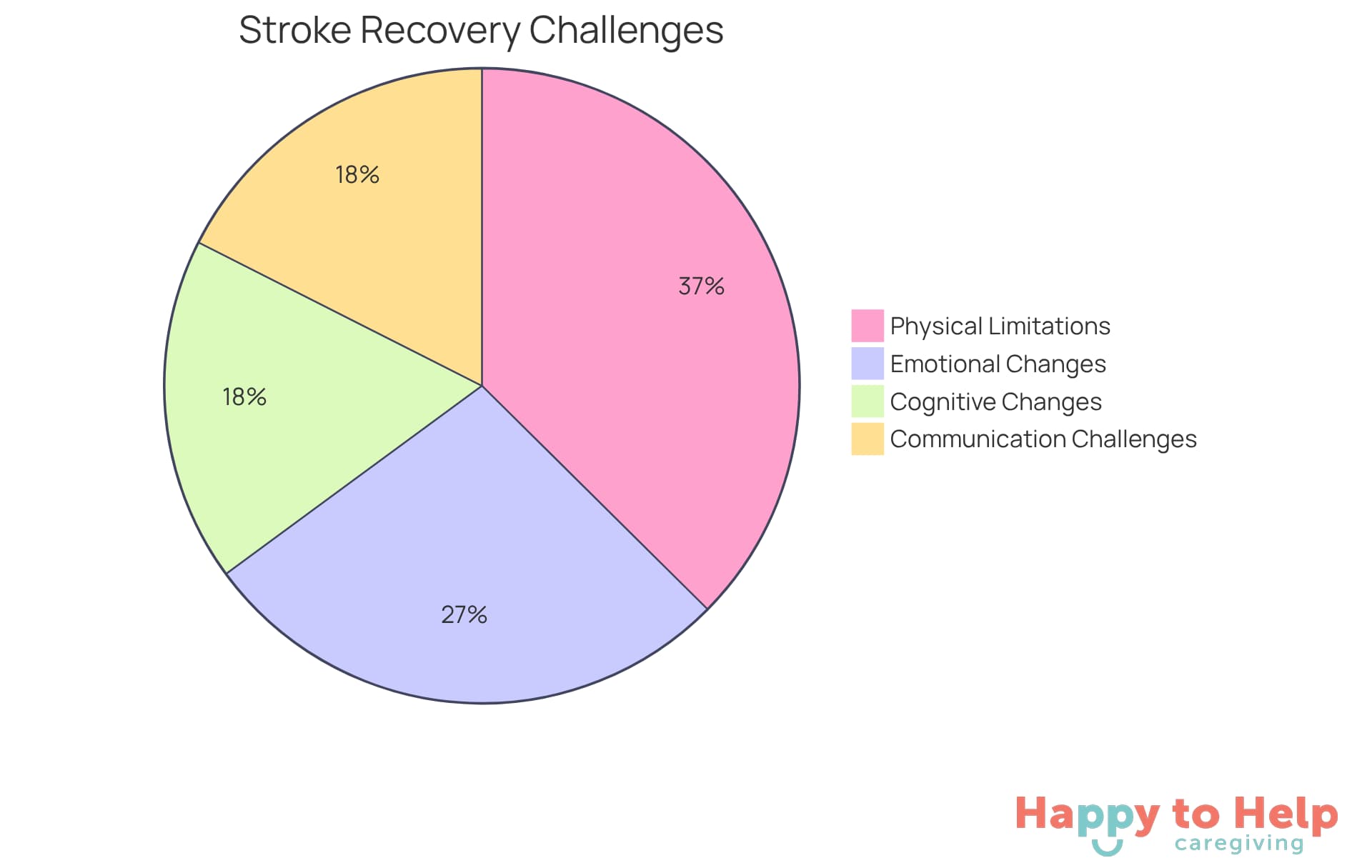 Each slice of the pie shows the percentage of stroke survivors facing that specific challenge. The larger the slice, the more significant the challenge is for survivors.