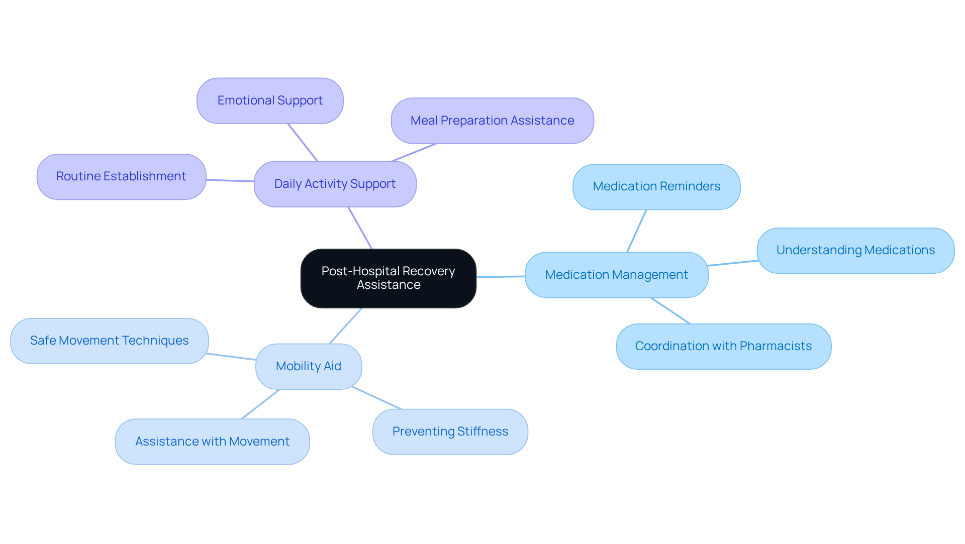 The center shows the main theme of recovery assistance, and each branch highlights a specific service that helps seniors transition safely back home. Follow the branches to see how these services work together for a smoother recovery.