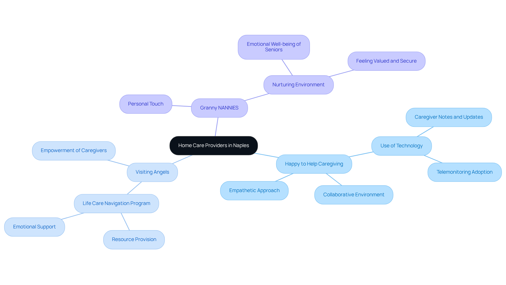 The central node represents the overall theme of home care providers, while each branch highlights a specific provider and its unique offerings. Follow the branches to understand how each provider supports clients and families.