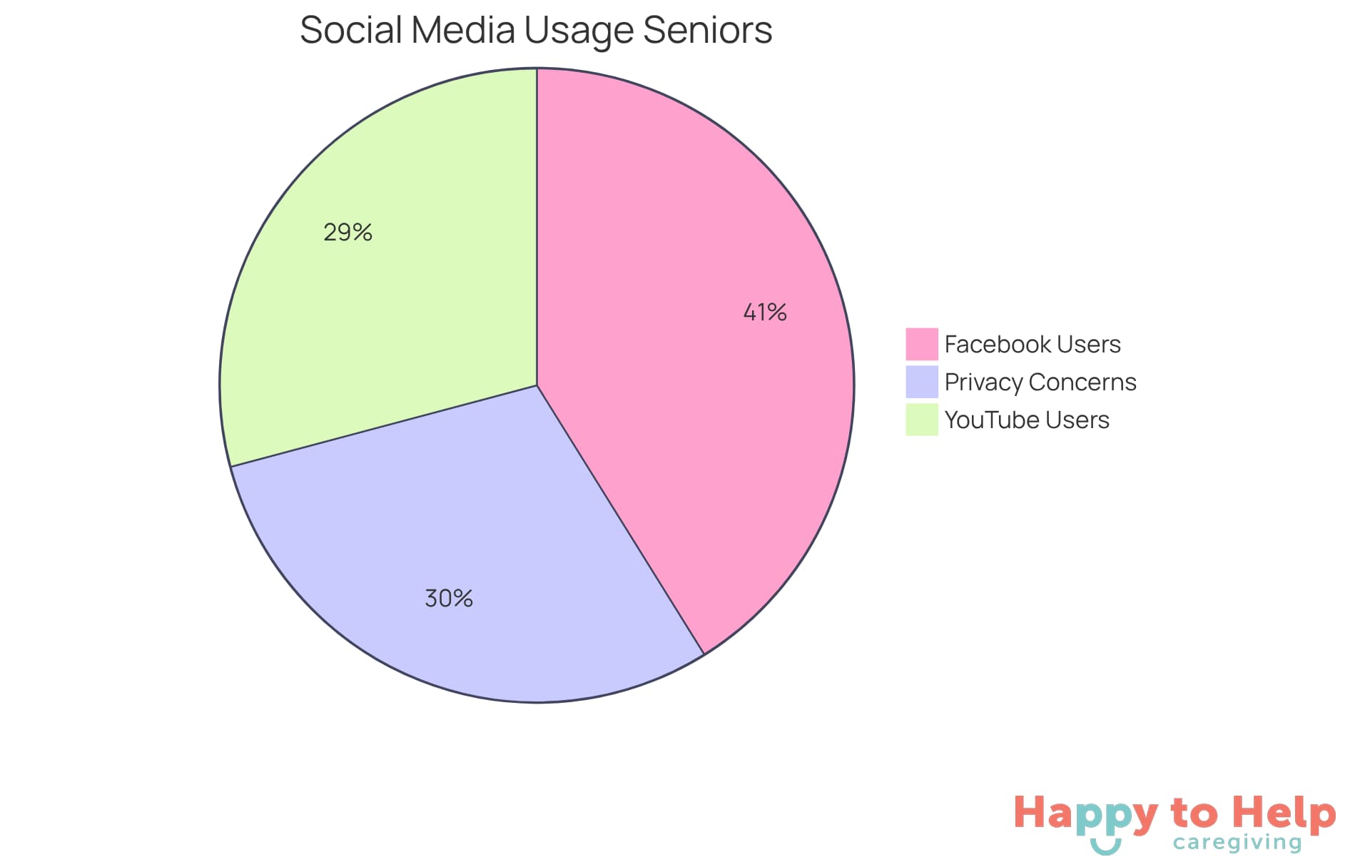 Each slice represents a different aspect of social media usage among seniors - the larger the slice, the more significant the proportion of users or concerns.