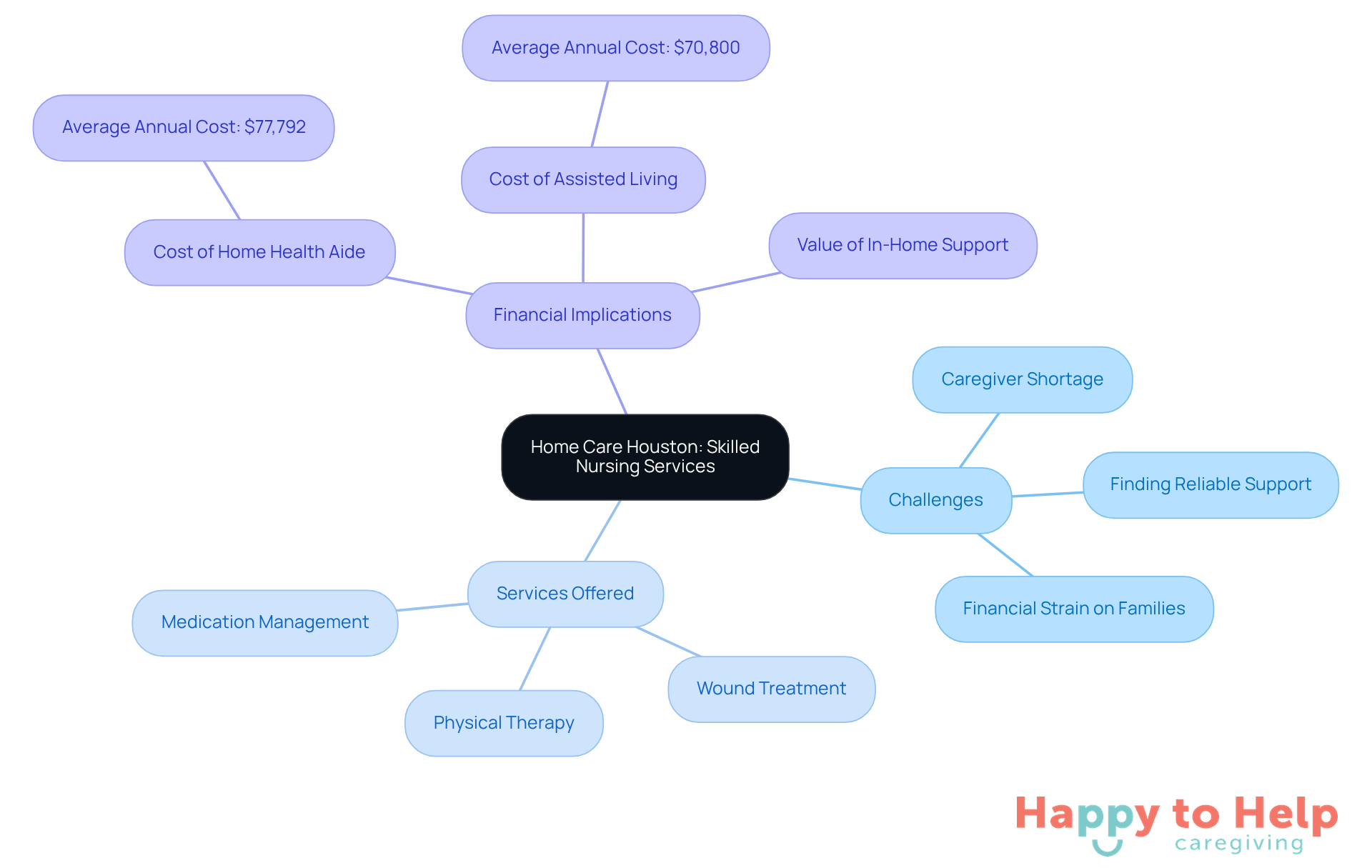 The central node represents the main topic of skilled nursing services, while the branches show the challenges faced, the specific services provided, and the financial aspects of caregiving. Each branch helps you understand the different components of home care.