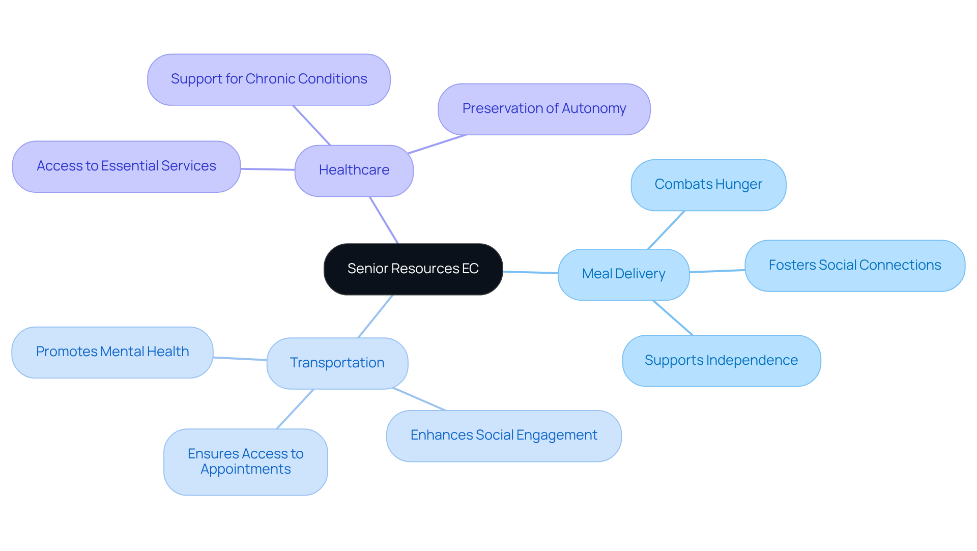 The central node represents the main theme of senior resources, while the branches show different services and their benefits. Each color-coded branch helps you see how these services work together to support seniors and their caregivers.